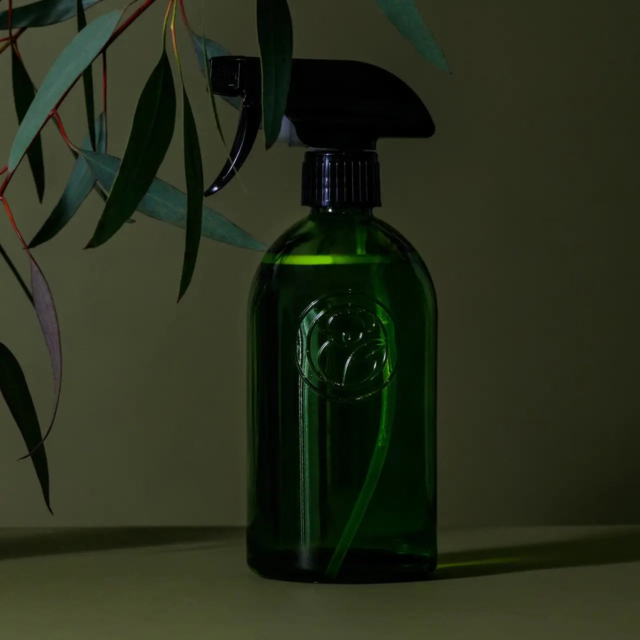 Apothecary Glass Bottle and Trigger Spray Bottle