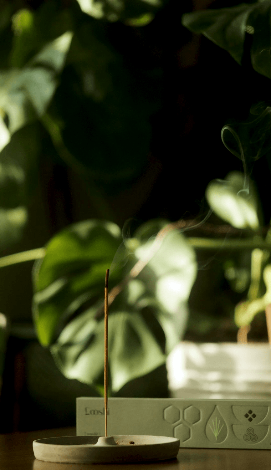 REWILD Natural Incense Sticks