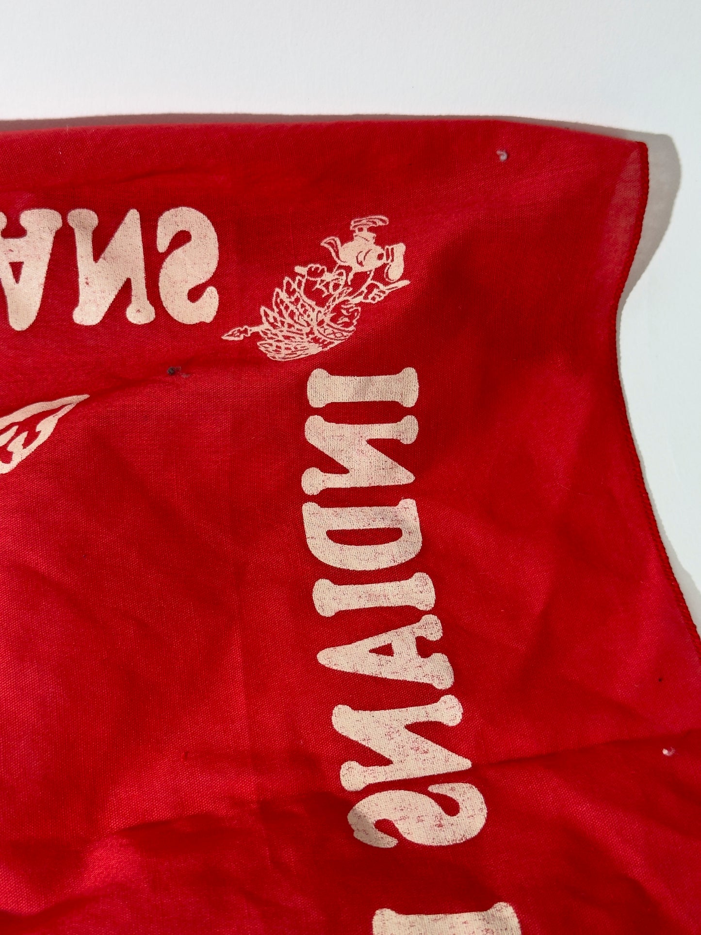 Indians Bandana
