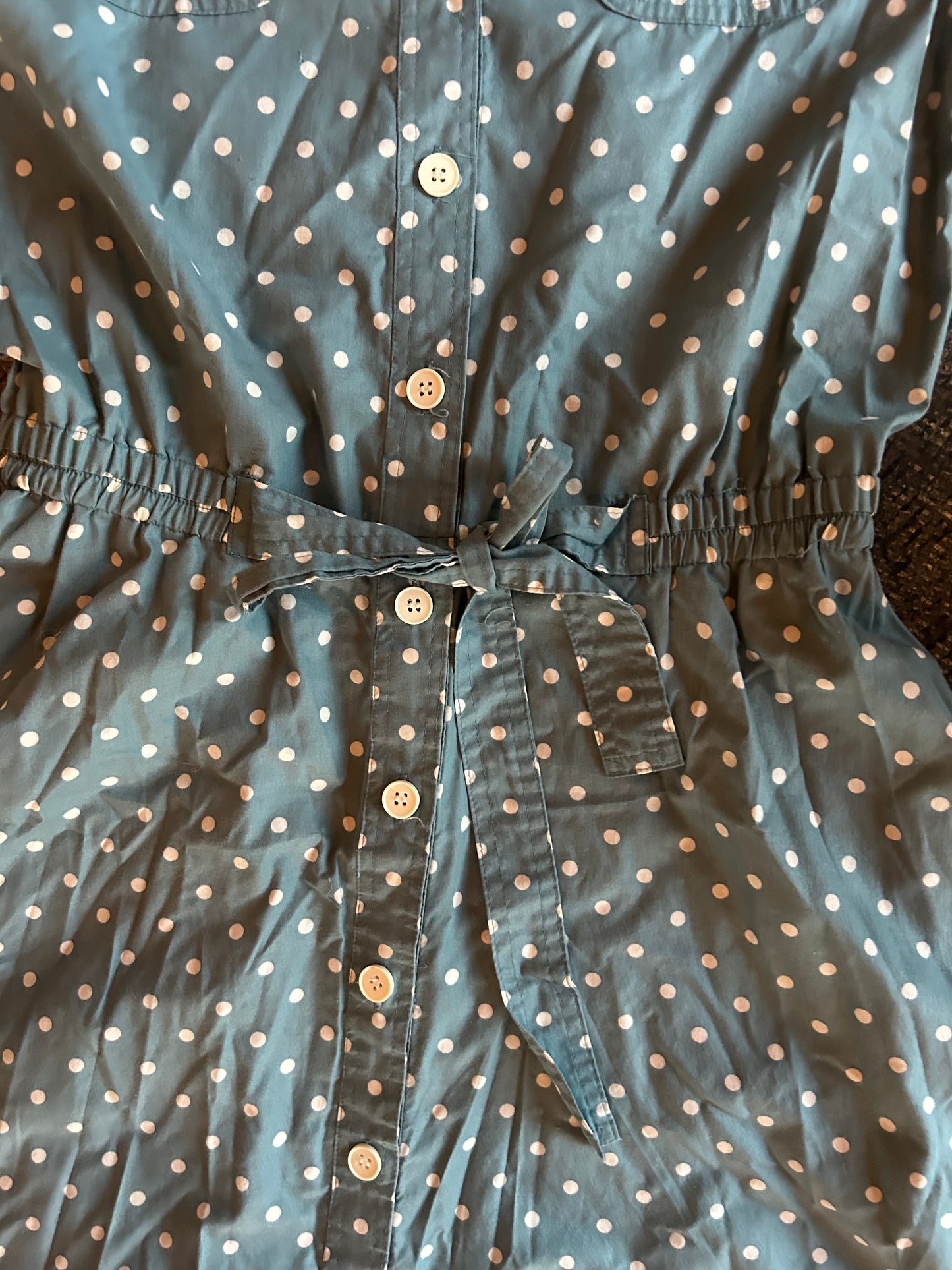 Blue Polkadot Button Front Dress