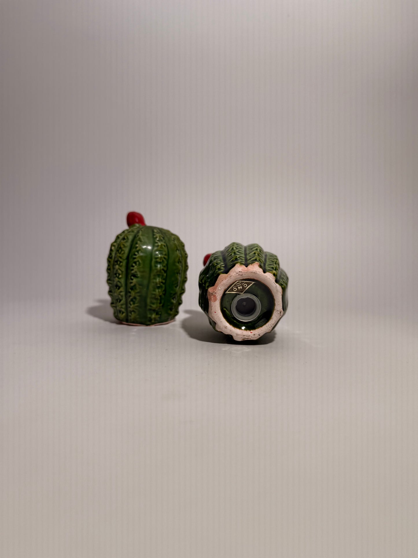 Cactus Salt + Pepper Shakers