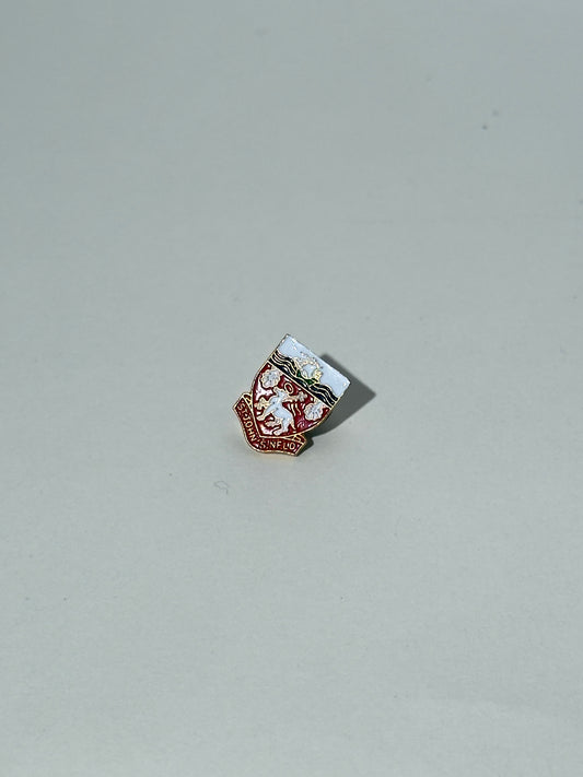 St. John's Newfoundland Pin