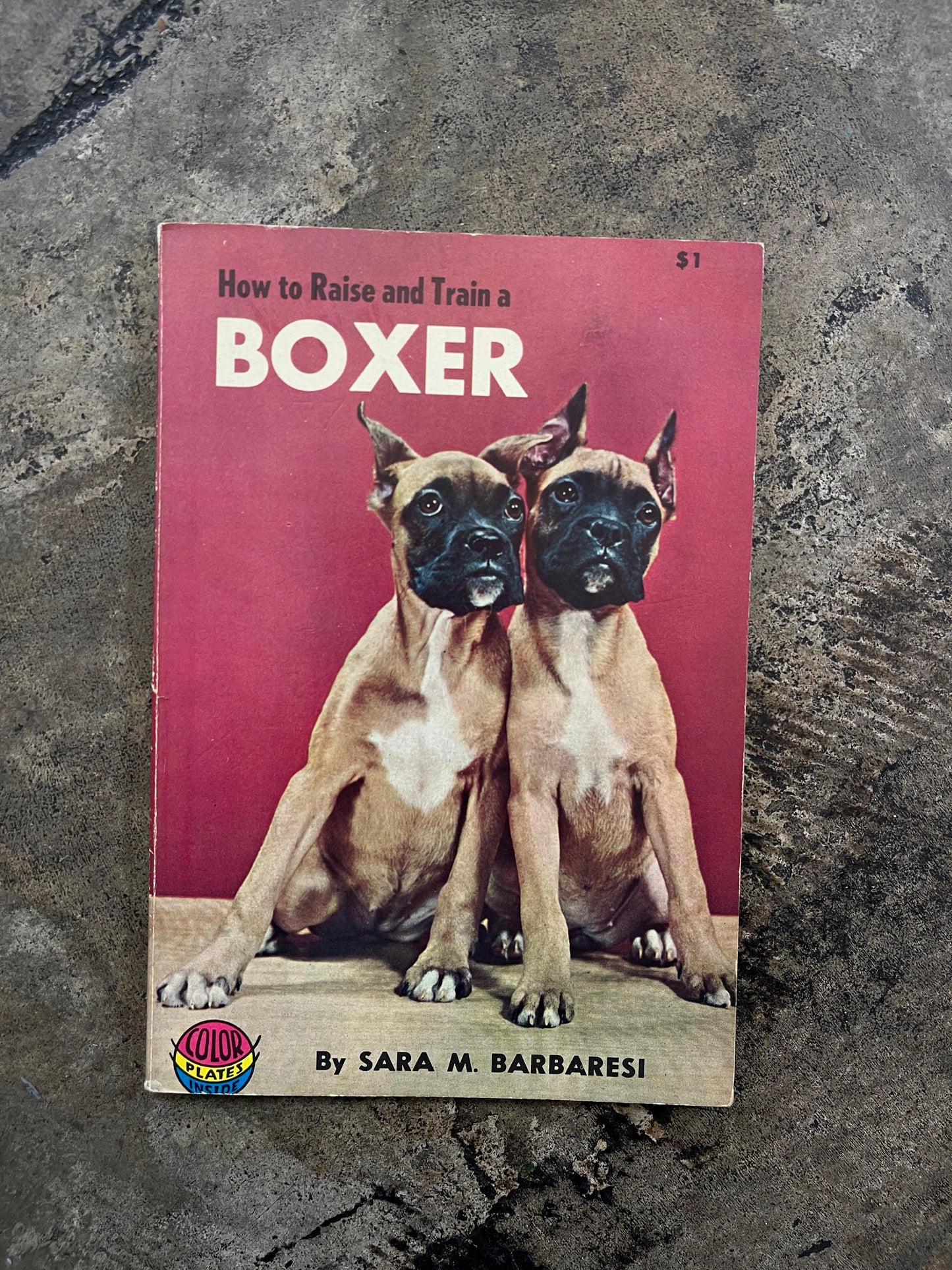 Dog Owners Veterinary Guide Book