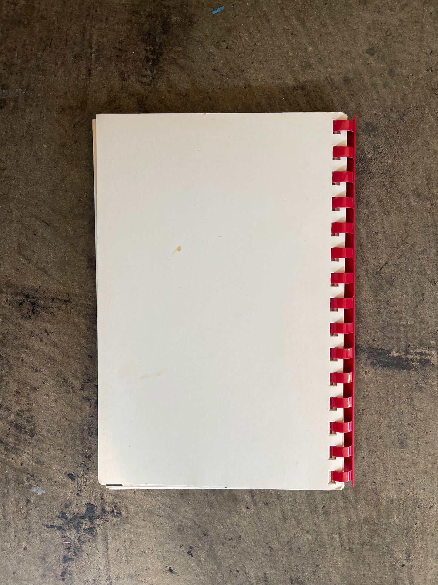 Recipes For Fun