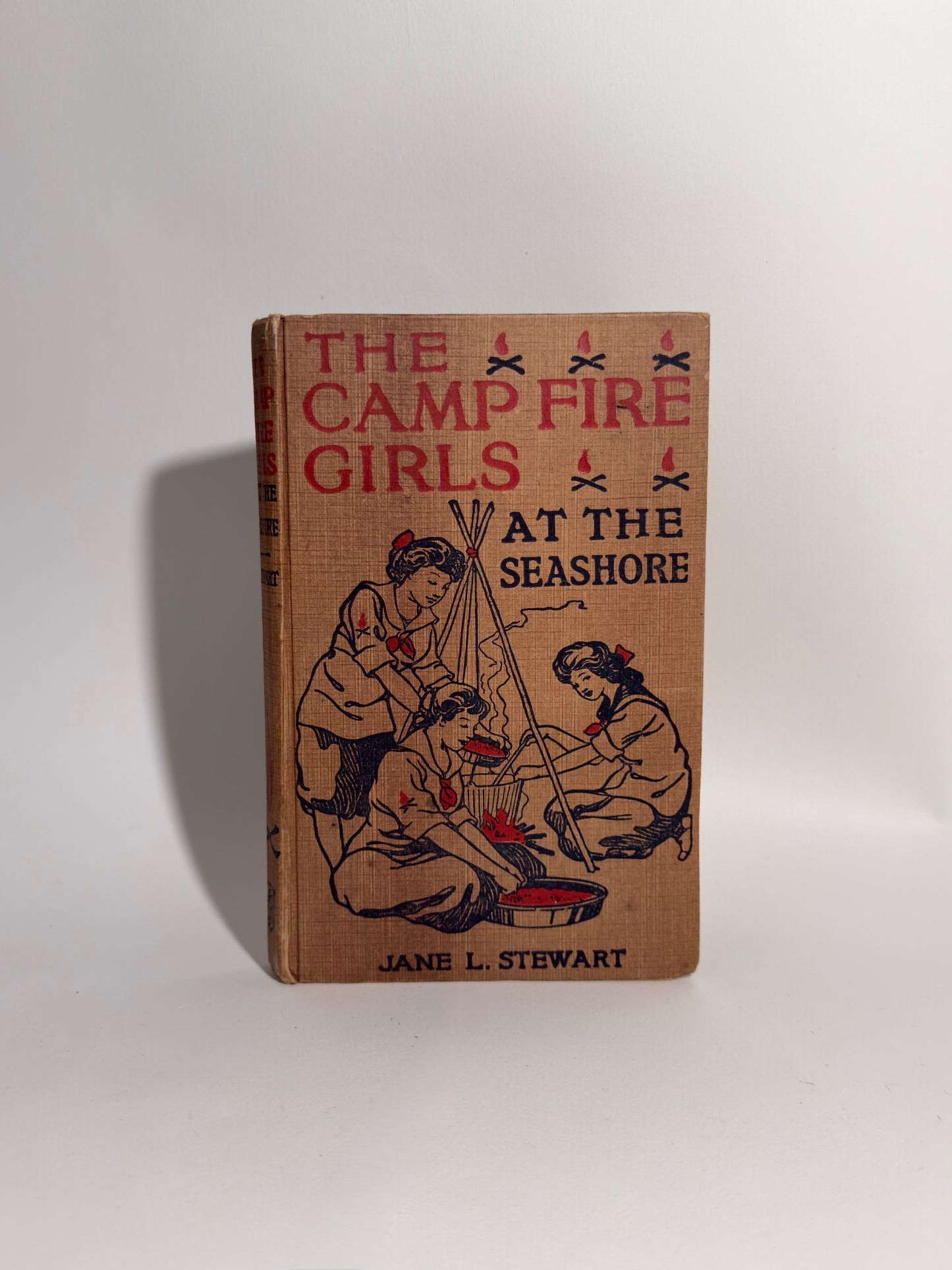 The Camp Fires Girls at The Seashore Book