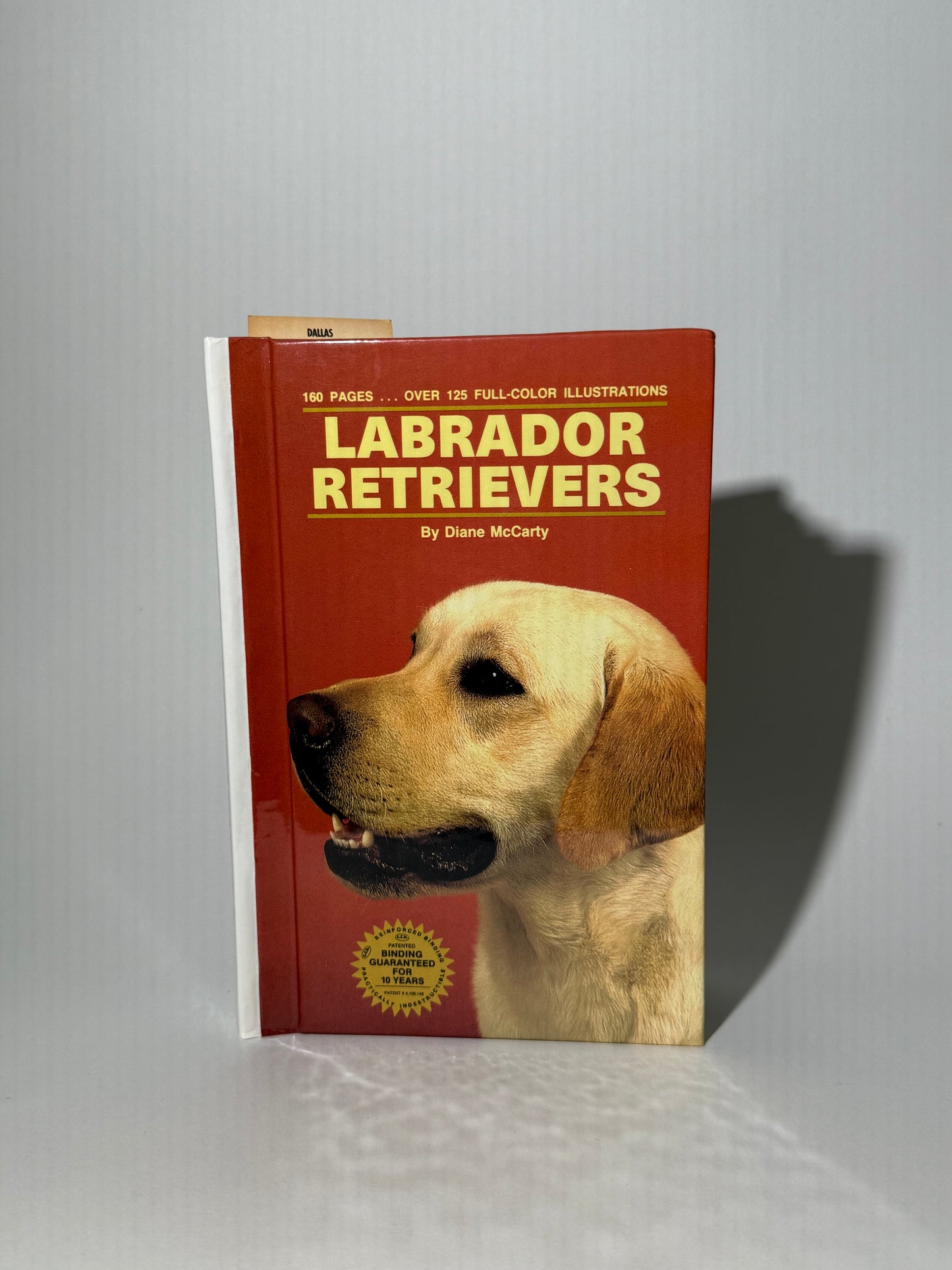 Labrador Retrievers