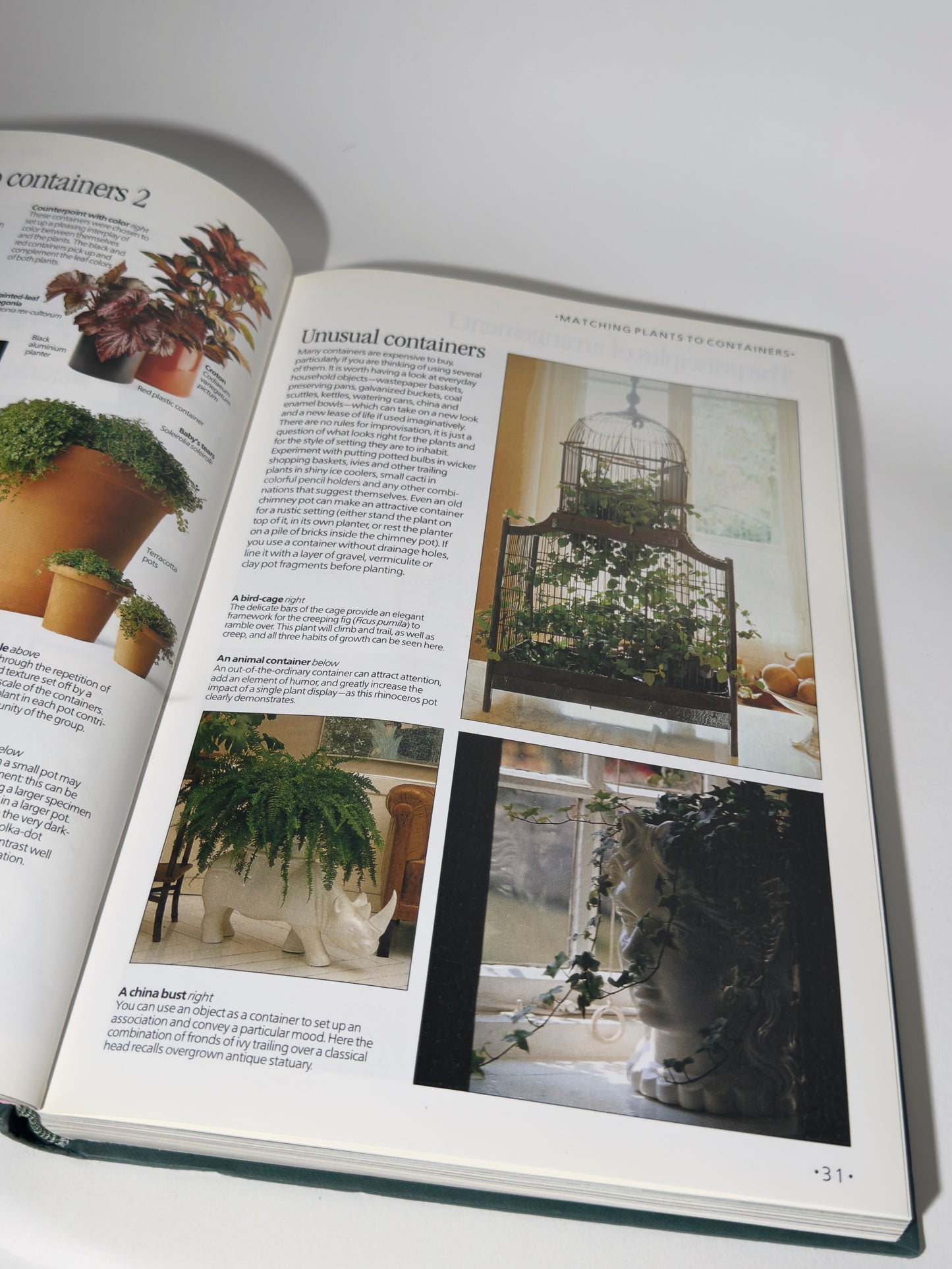 The Indoor Garden Book