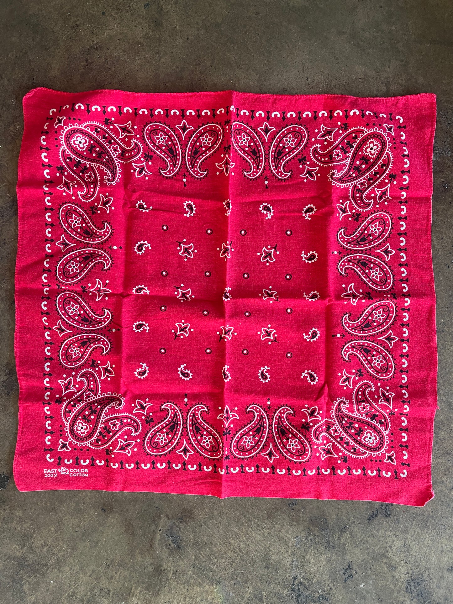 Small Red Paisley Bandana