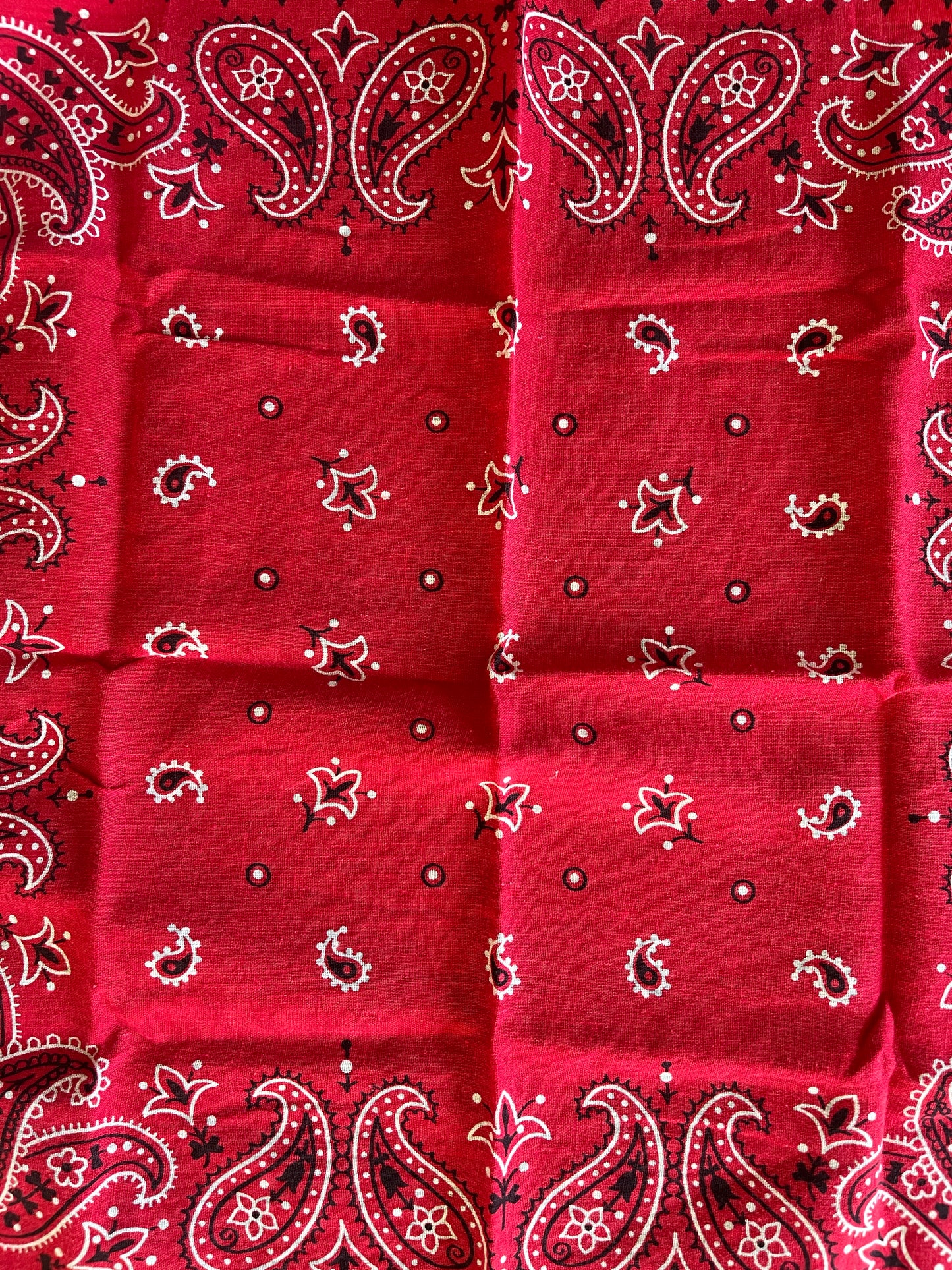 Small Red Paisley Bandana