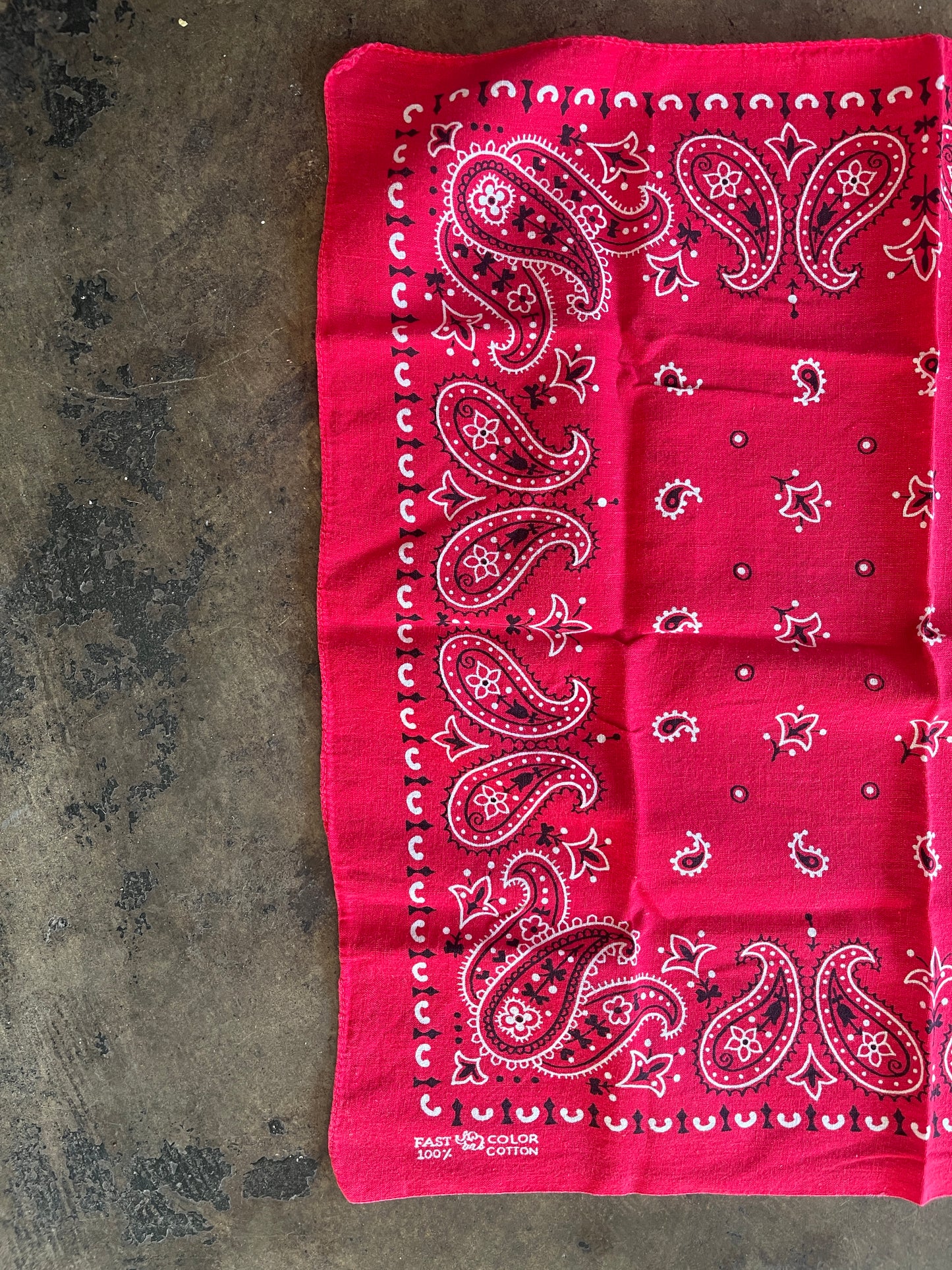 Small Red Paisley Bandana