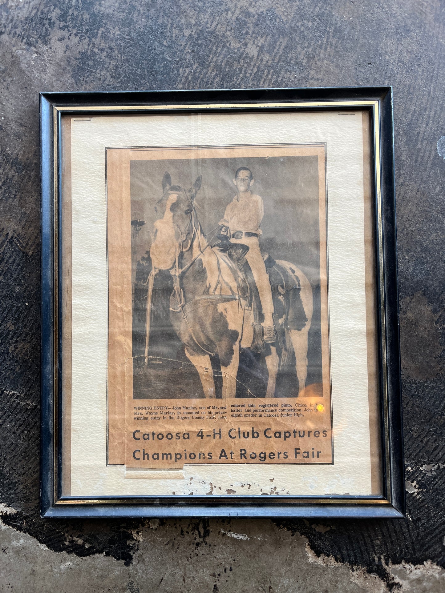 Rogers Fair 4H Club Article Framed