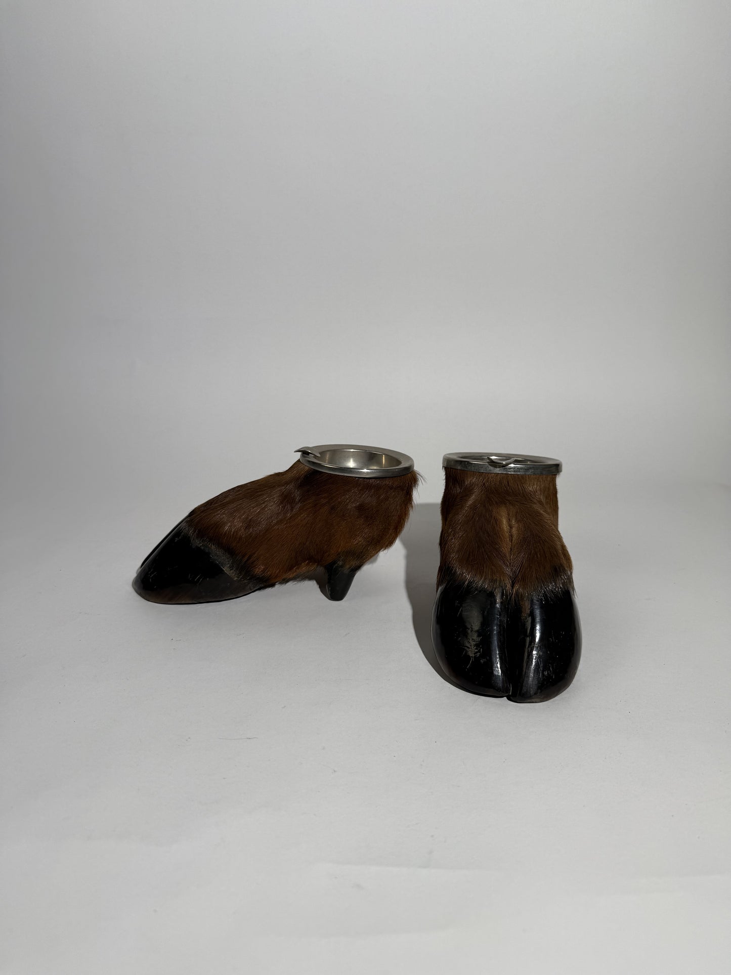 Hoof Ashtray Set