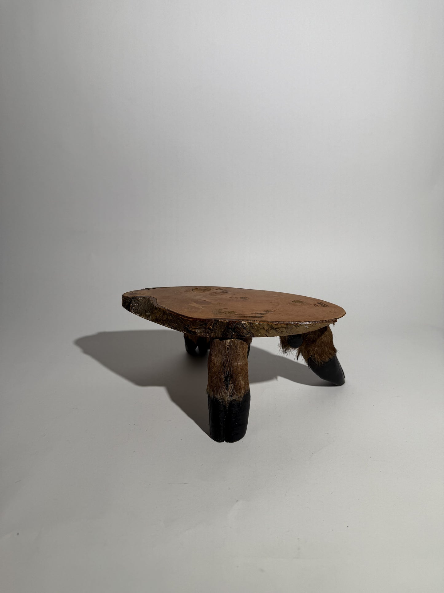 Elk Hoof Pedestal