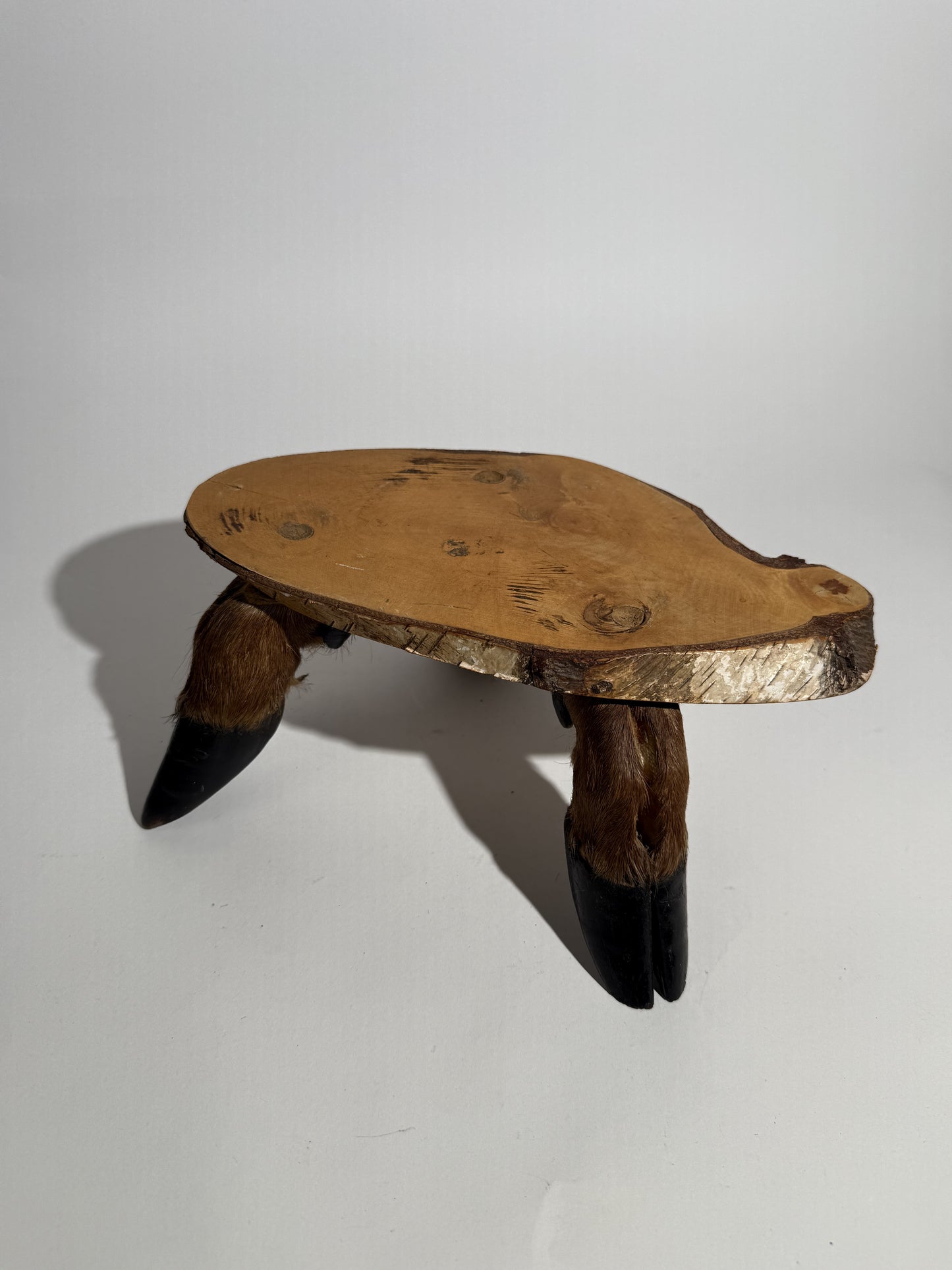 Elk Hoof Pedestal