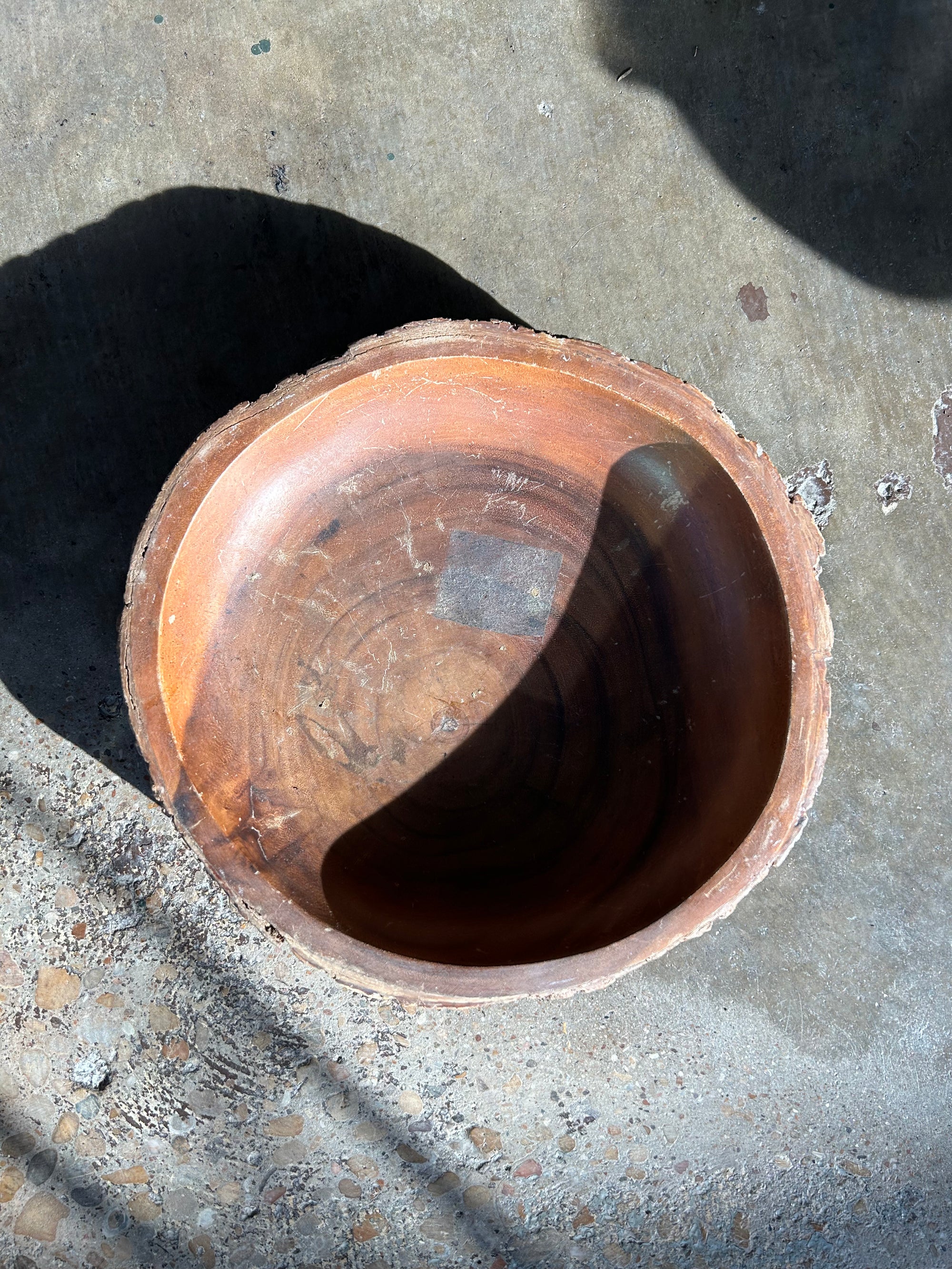 Wooden Stump Decorative Bowl