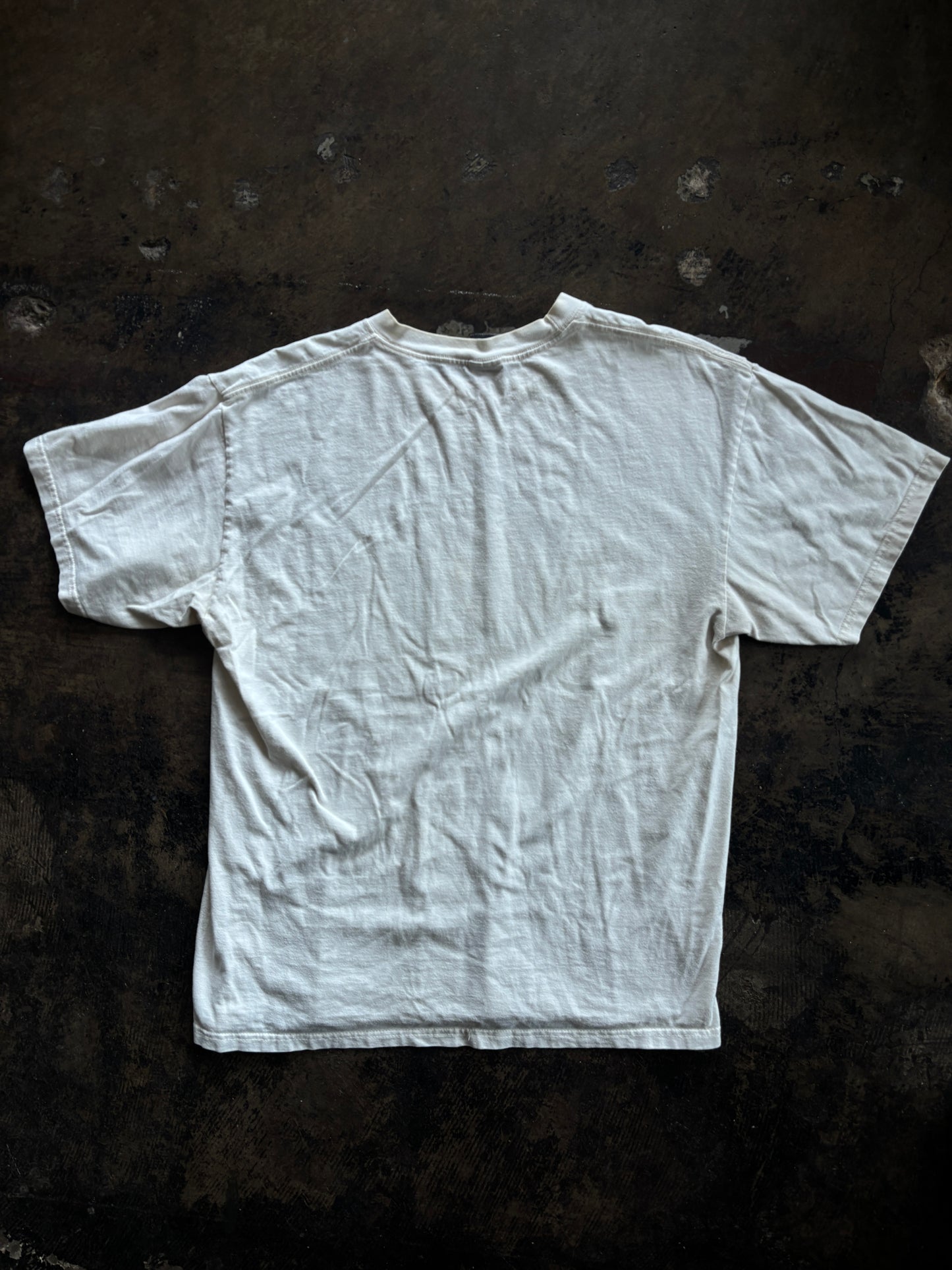 White Montana Mountain Bird Tee