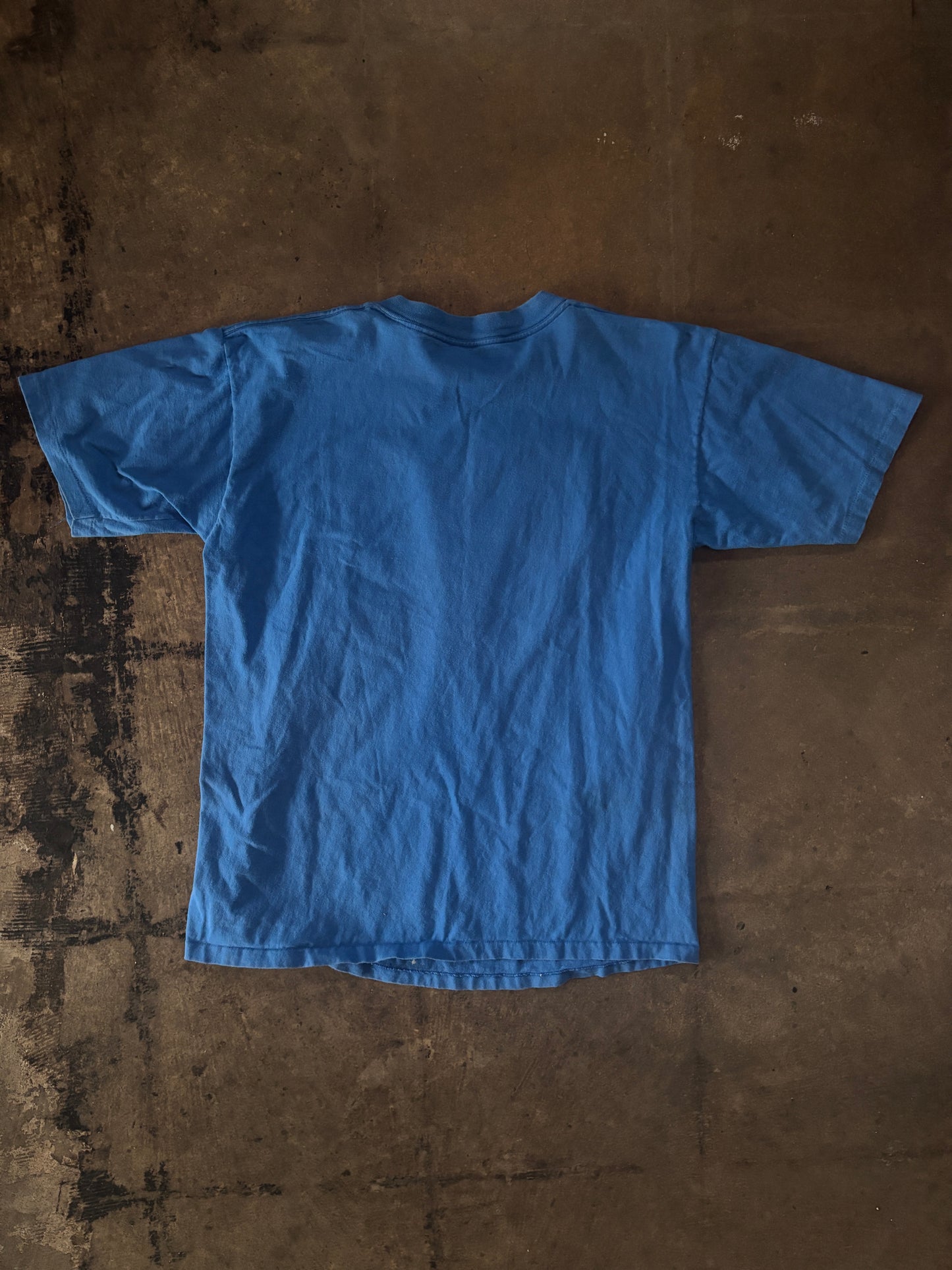 Blue Family Photo Tee