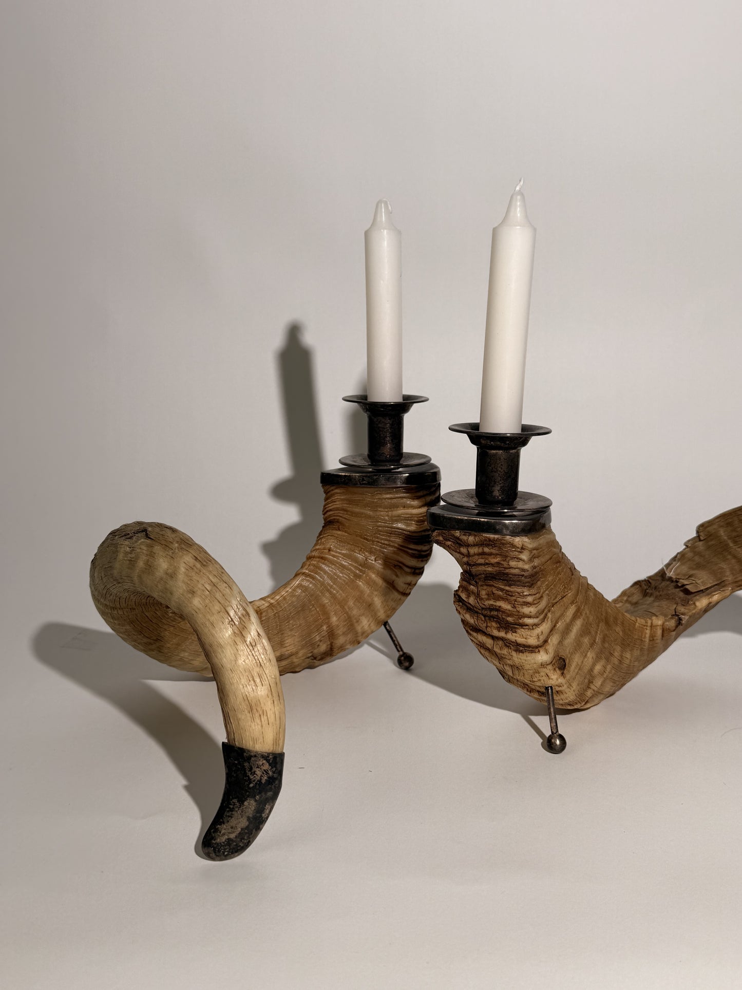 Ram Horn Candlestick Holders