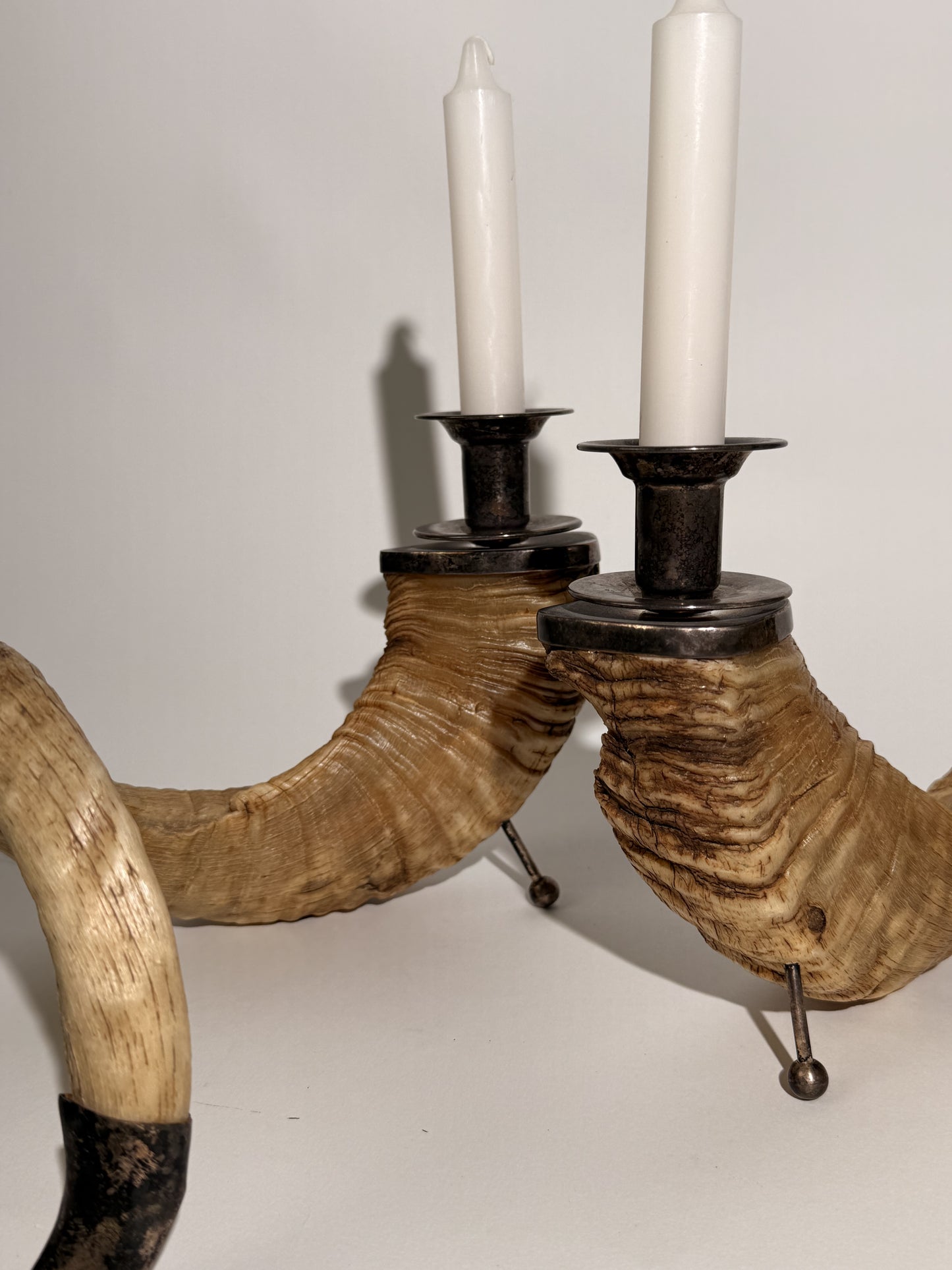 Ram Horn Candlestick Holders