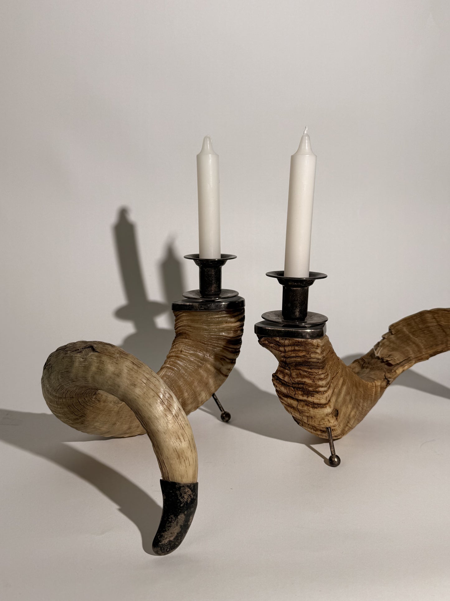 Ram Horn Candlestick Holders