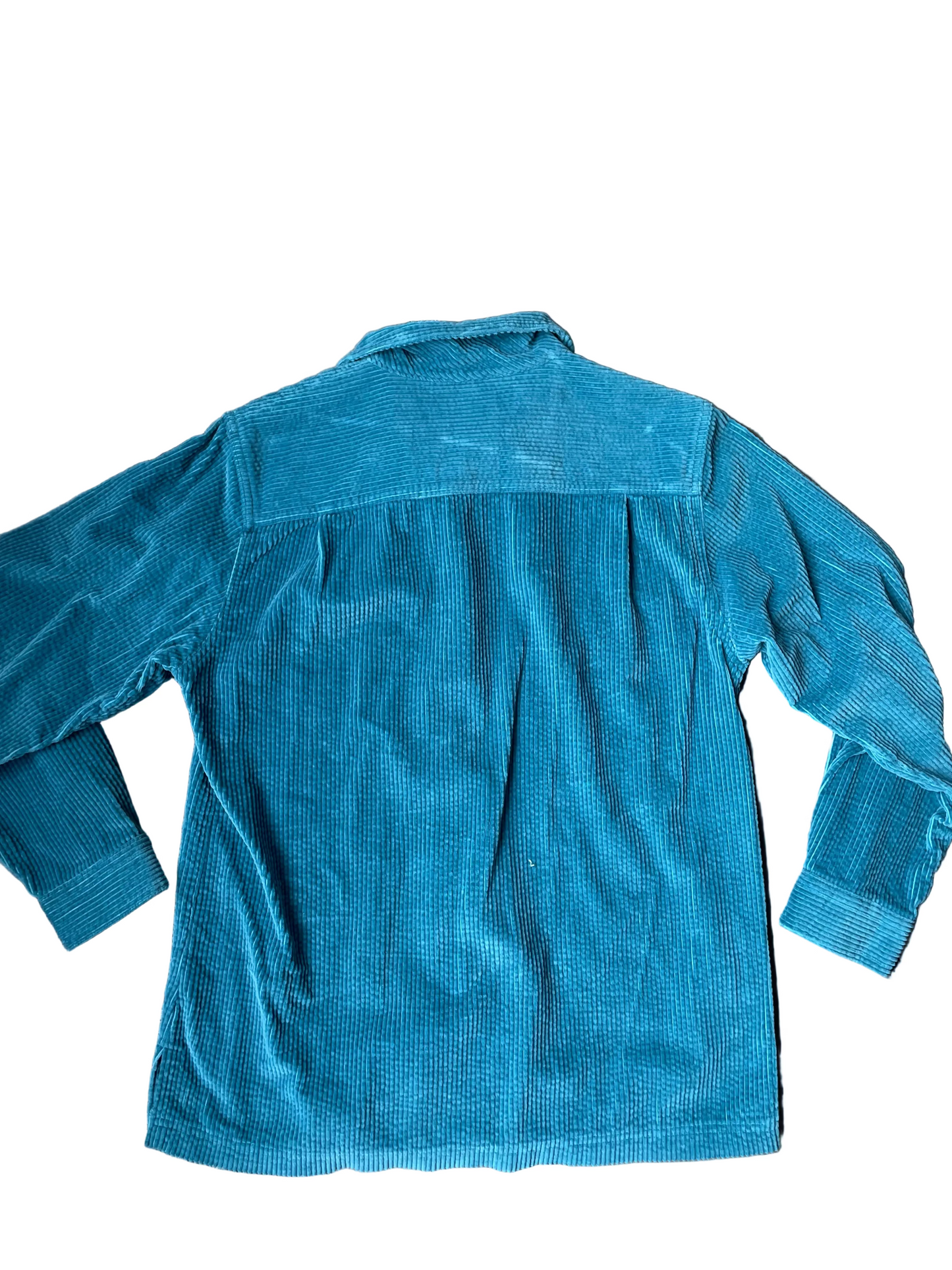 Teal L.L. Bean Long Sleeve Button Down