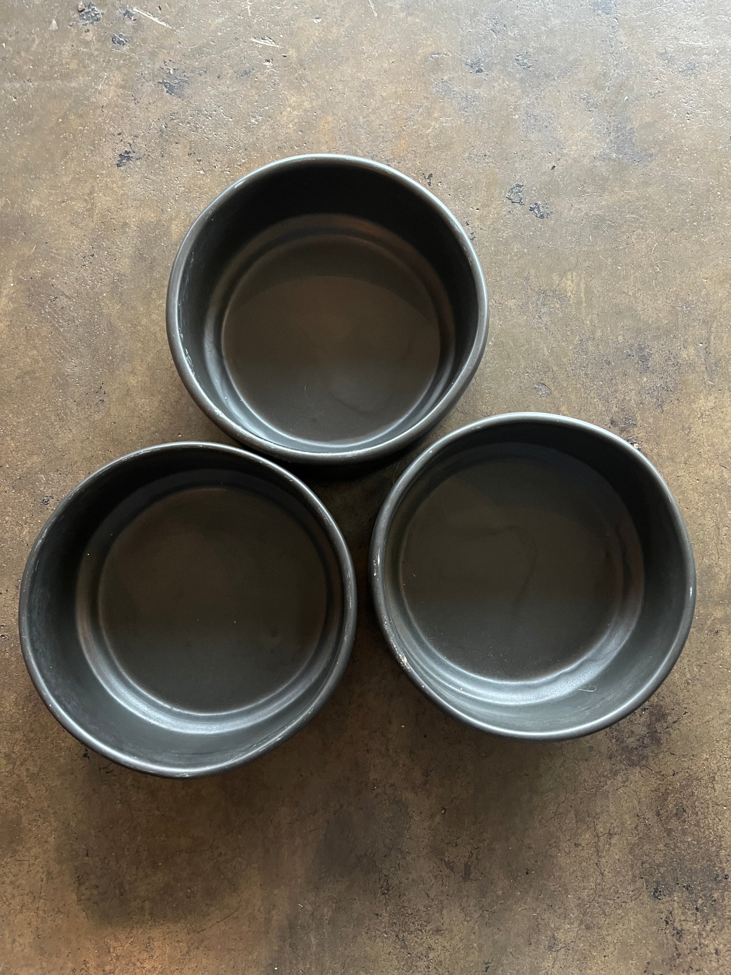 Room + Board Black Ceramic Pet Dish