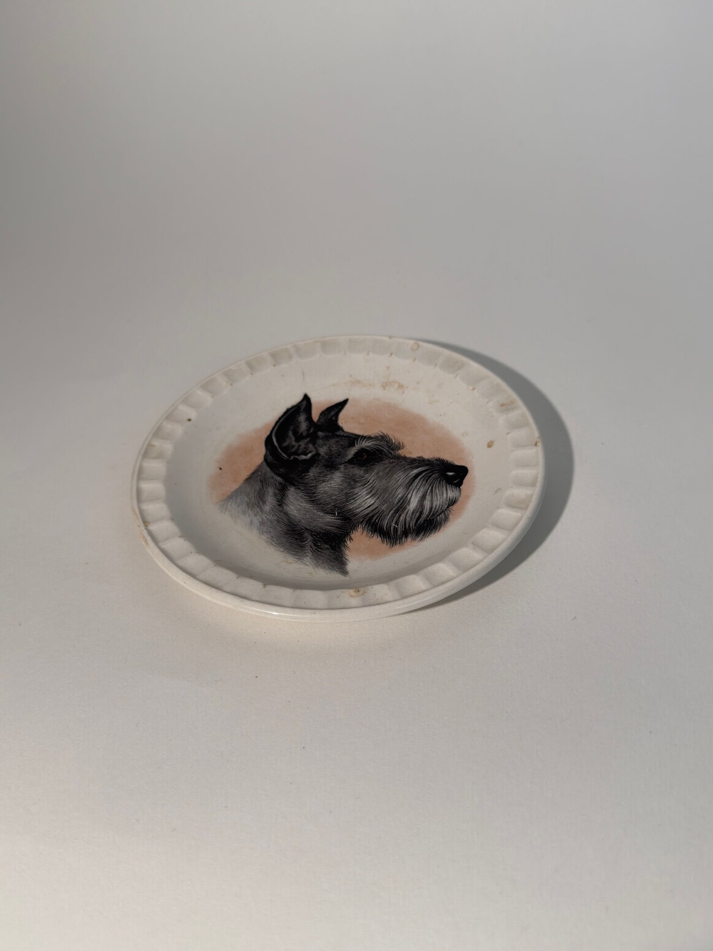 Large Schnauzer Dish