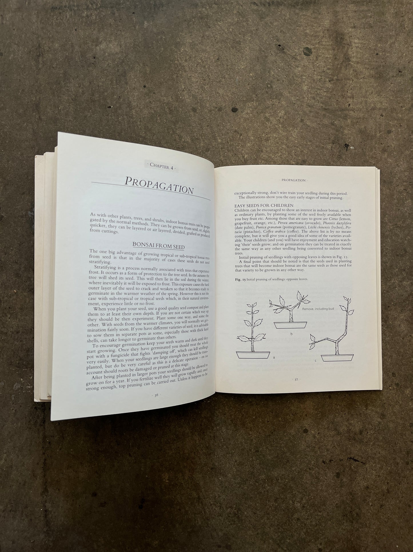 "Practical Gardening: Indoor Bonsai" Book