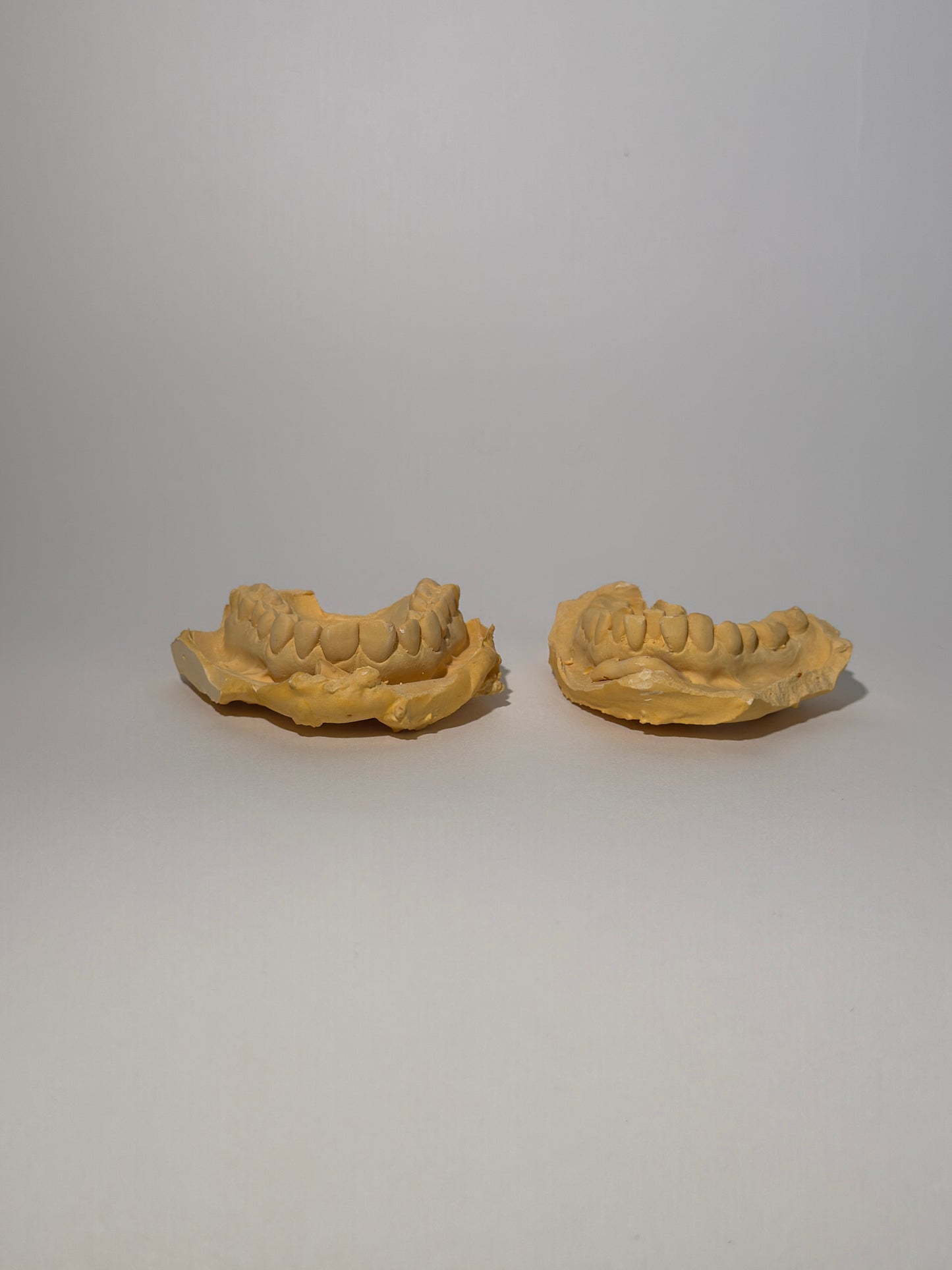 Clay Dental Mold 2