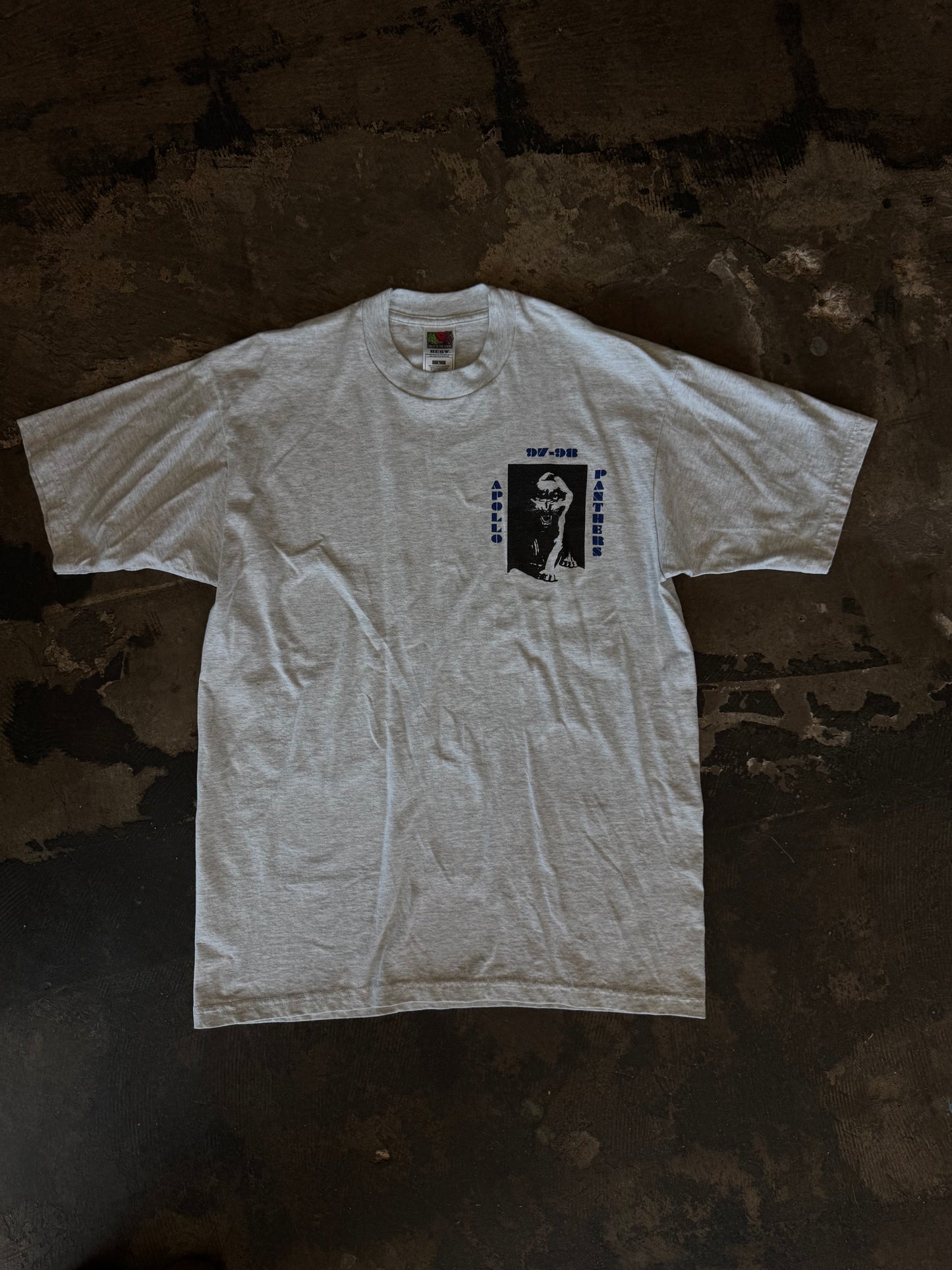 Gray Apollo Panthers Choir Tee