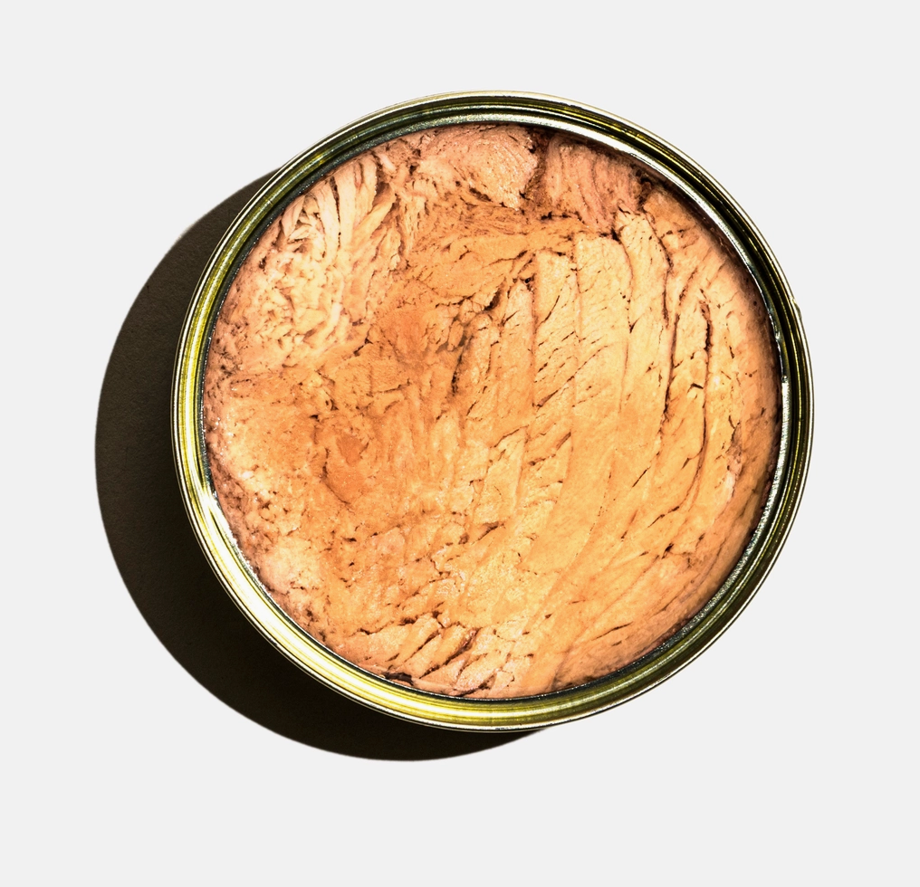 Albacore Tuna in Olive Oil