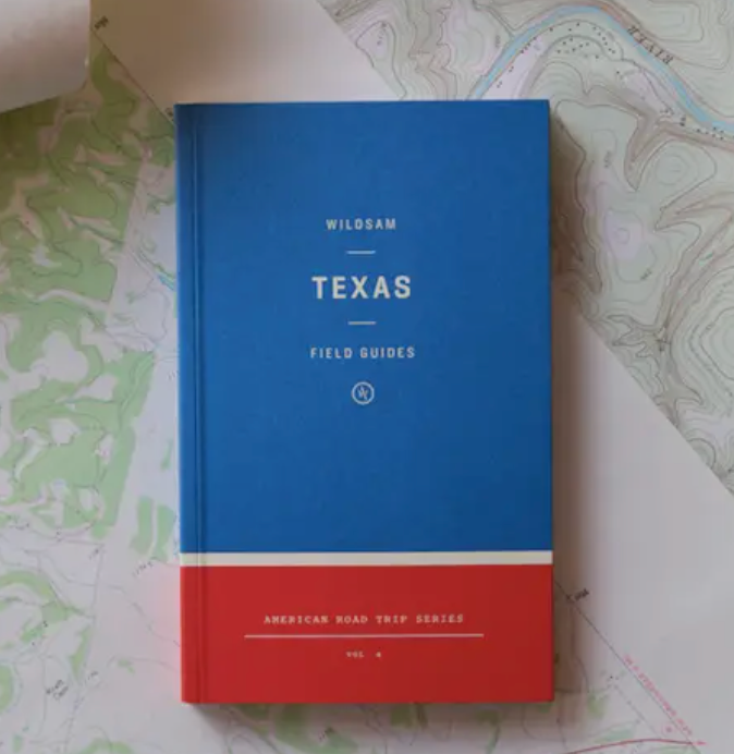 Texas Road Trip Guide