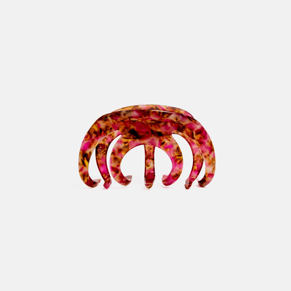 Octopus Claw in Large Blossom