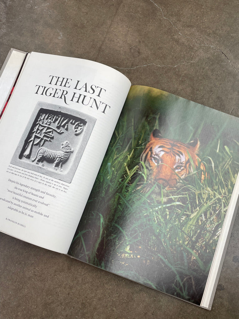 Horizon Summer 1973 Book