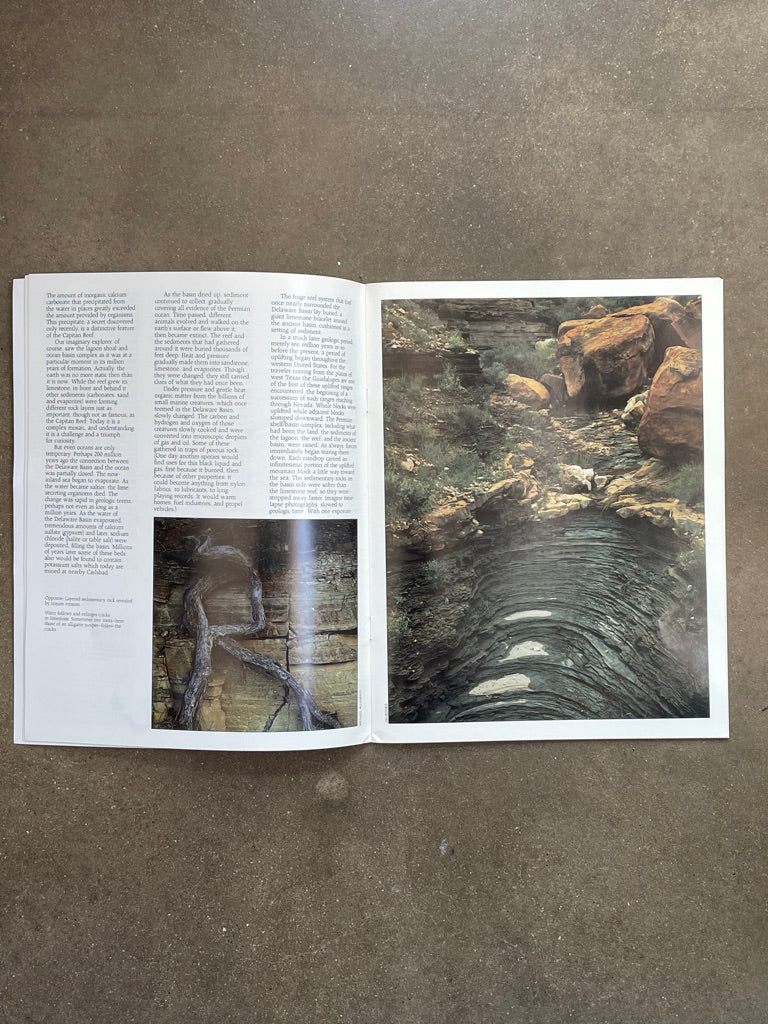 "The Guadalupes" Booklet