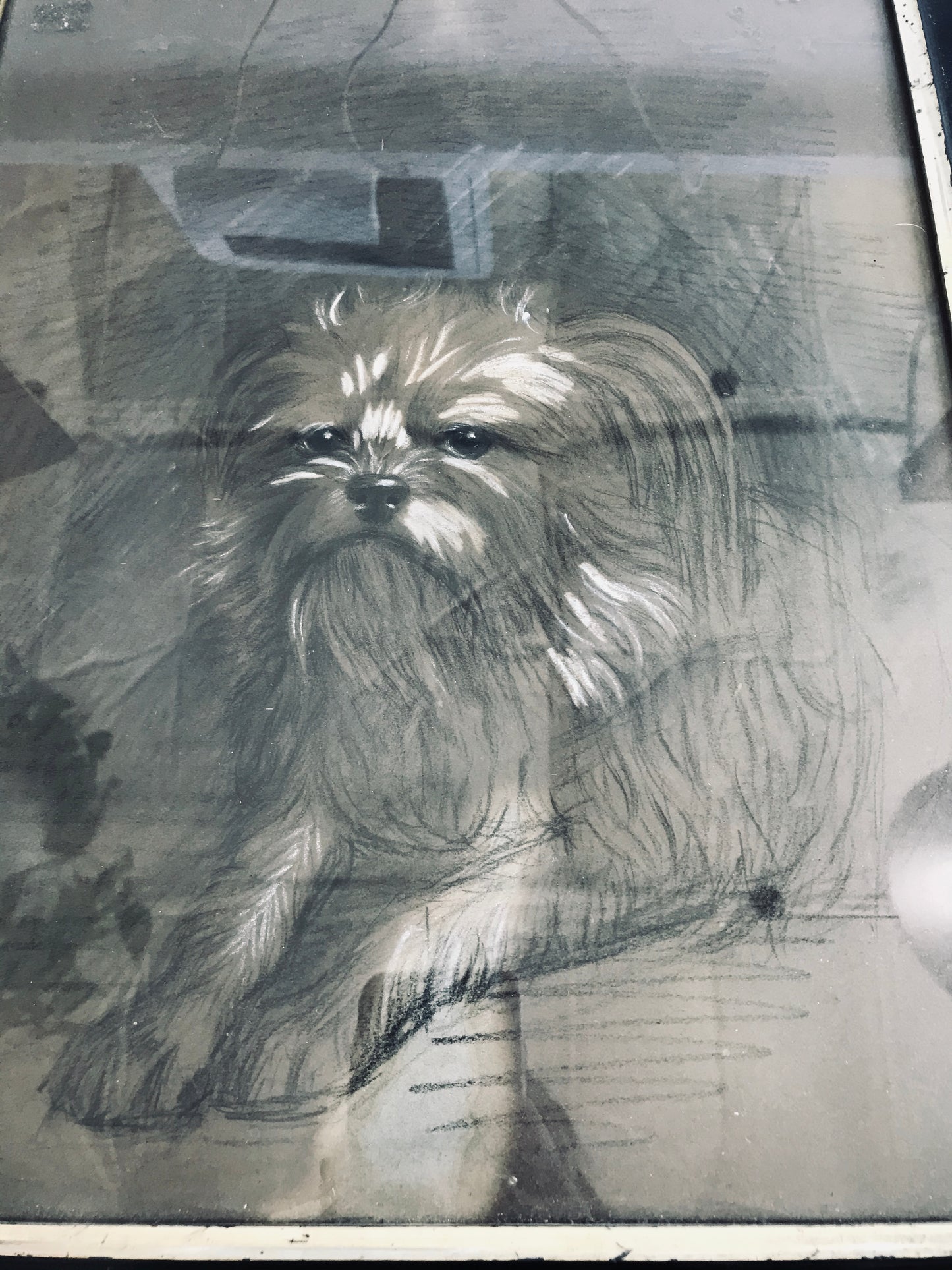 Dog Sitting Portrait