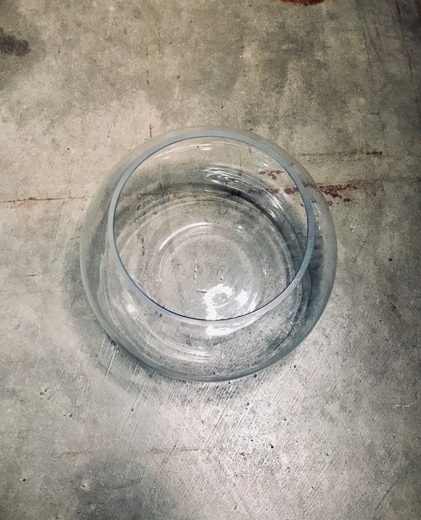 Vintage Glass Terrarium