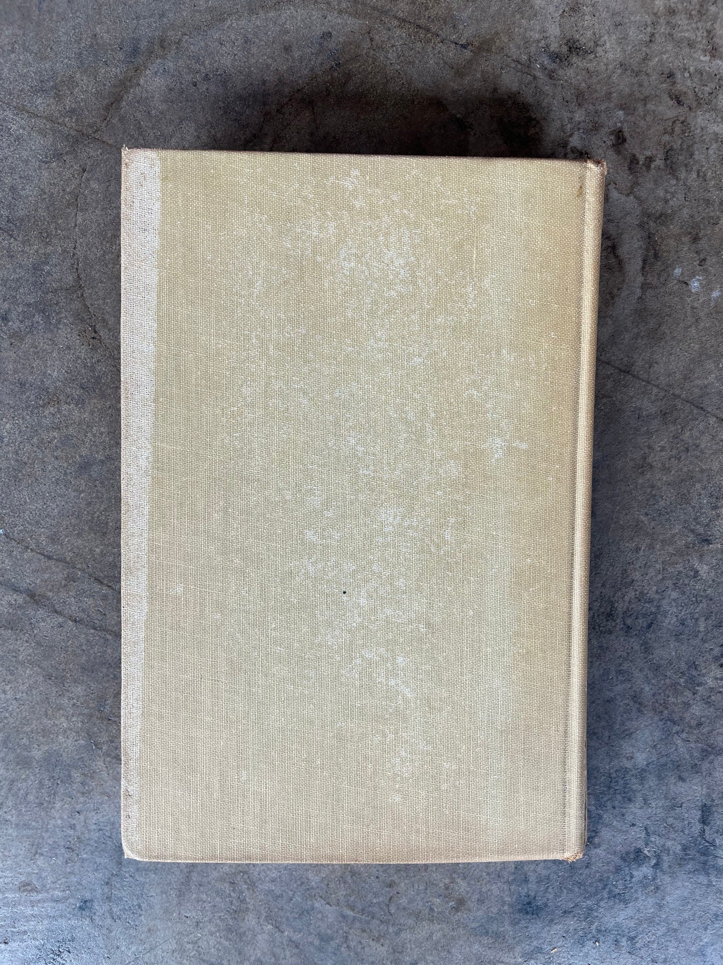 "The Lady of Arlington" Book