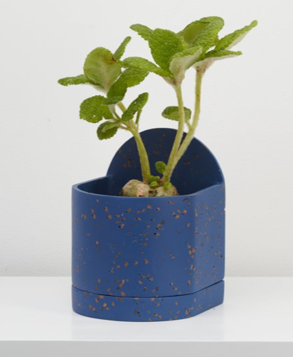 Sol Planter