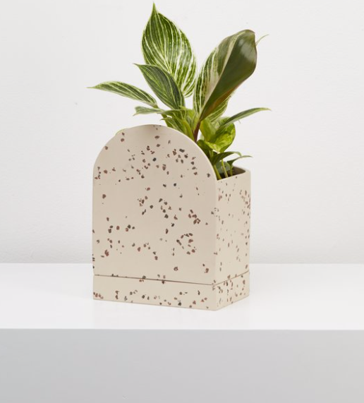 Sol Planter