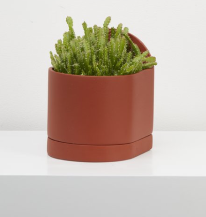 Sol Planter