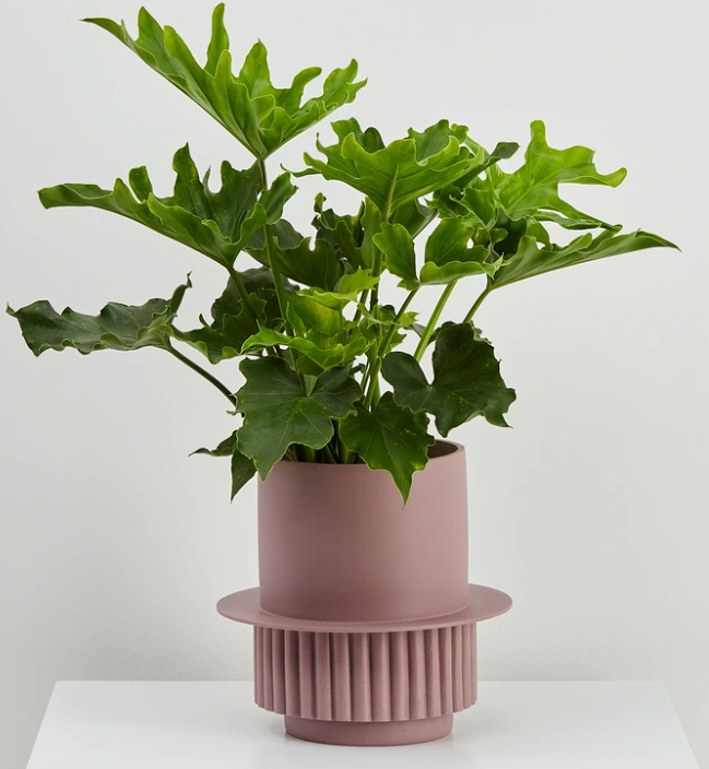 Roma Planter
