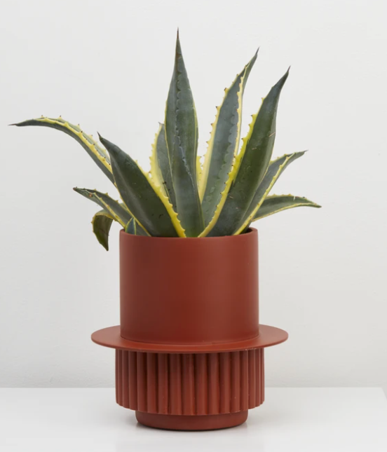 Roma Planter