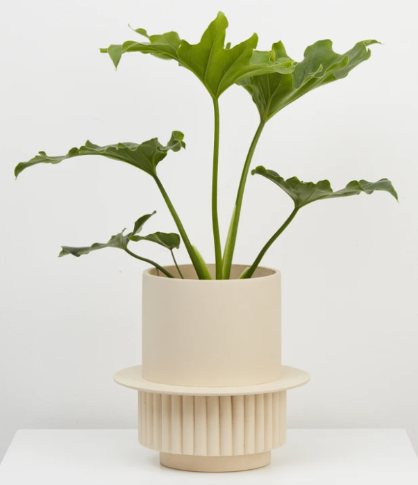 Roma Planter