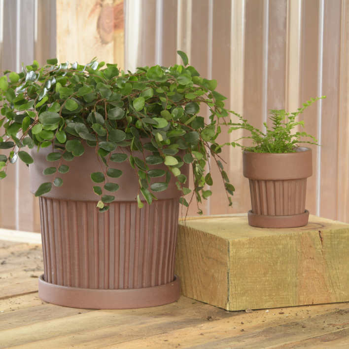 Ribbed Brown Clay Pot & Saucer