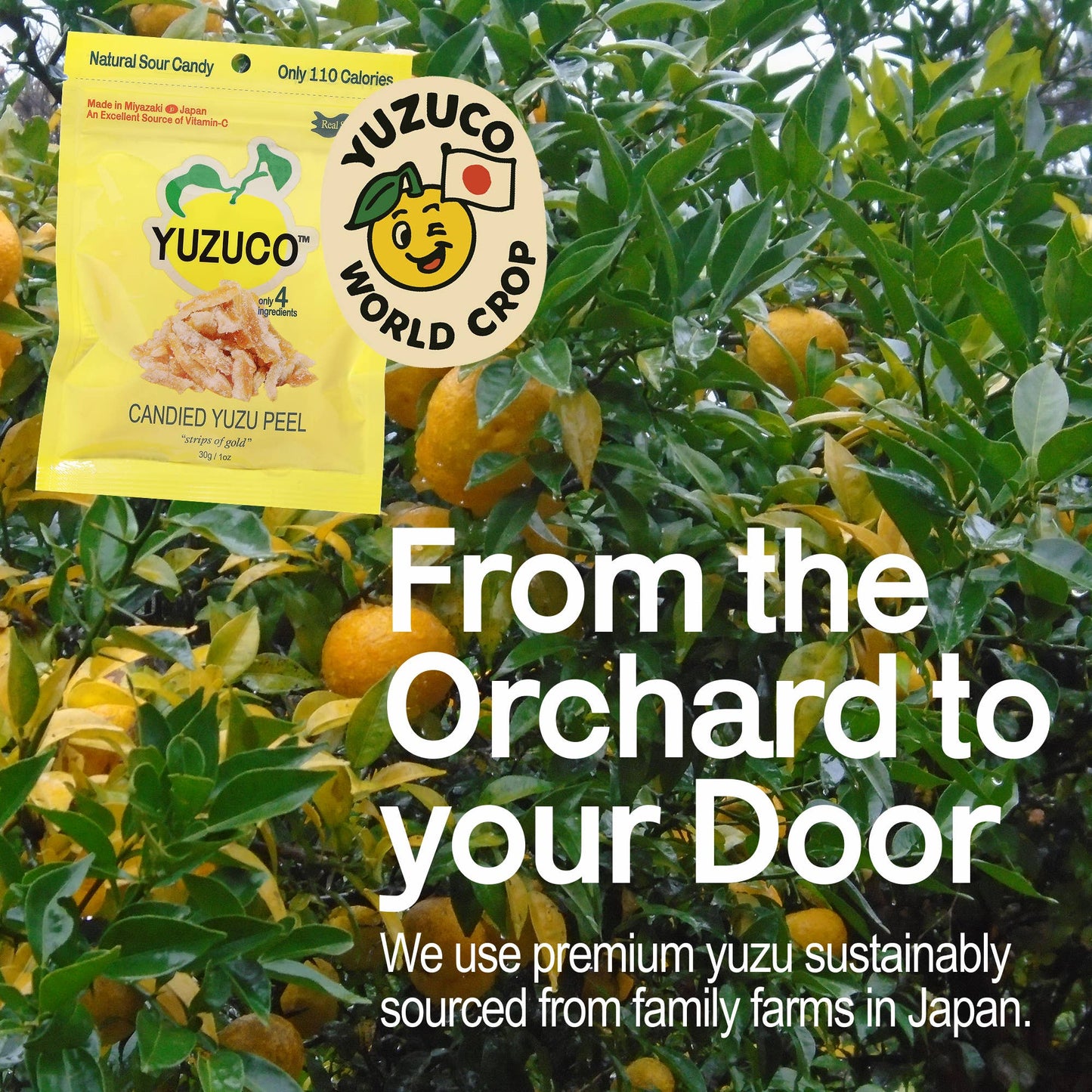 Candied Yuzu Peel (30g)