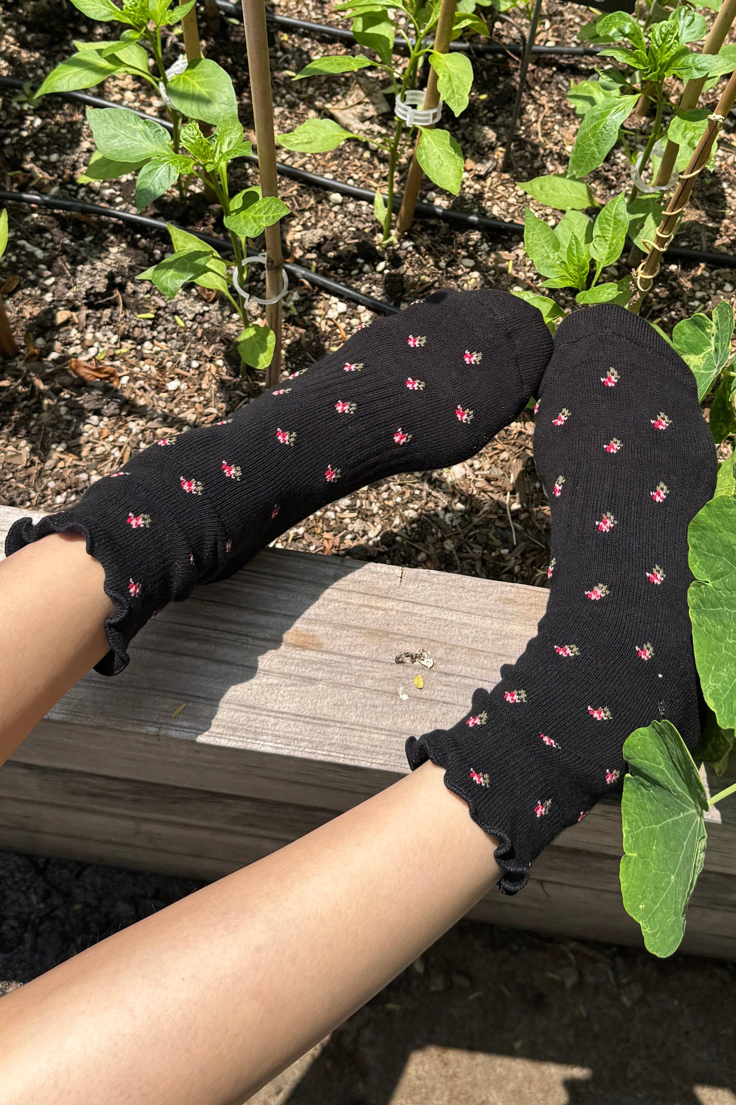 Petal Ruffled Hugger Crew Socks