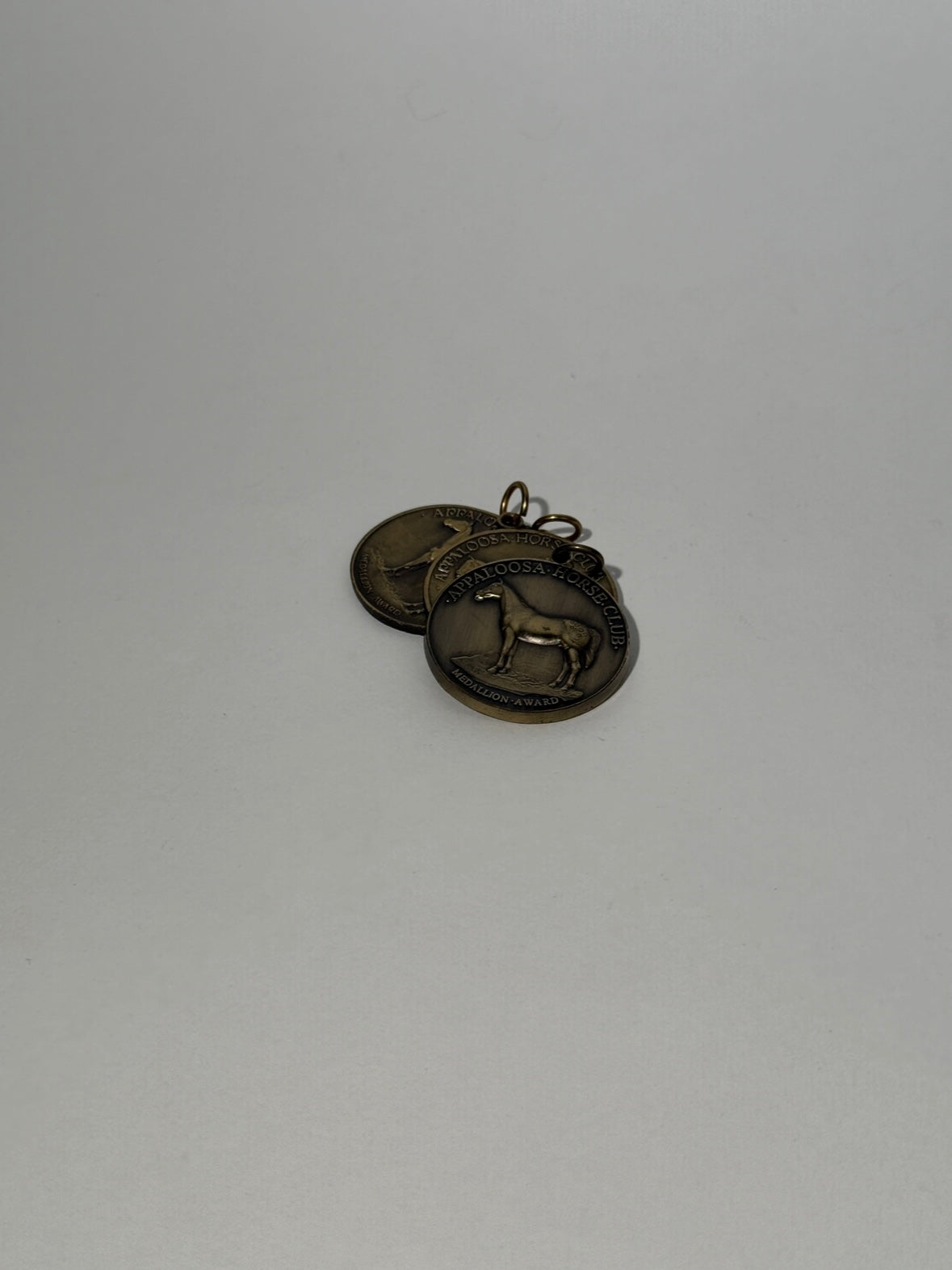 Appaloosa Horse Club Medallion Award Pendant