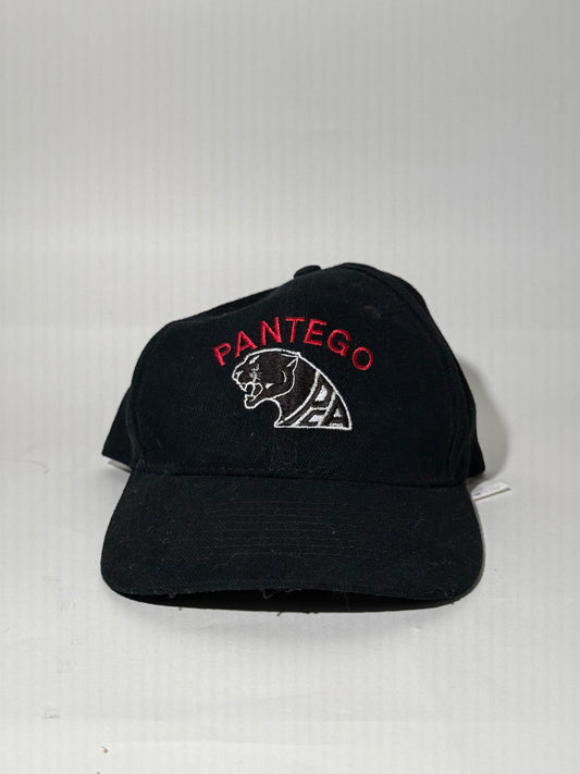 Black Panther Pantego Dad Hat