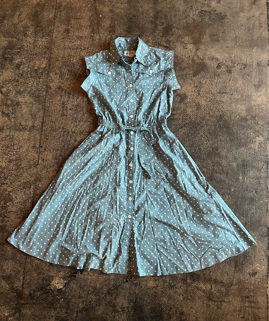 Blue Polkadot Button Front Dress